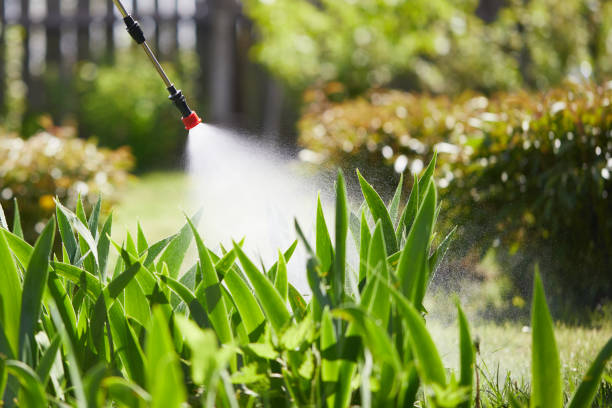 Tamper-Resistant Bait Stations for Rodents in Hailey